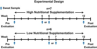 The Impact of Nutritional Supplementation on Sweat Metabolomic Content: A Proof-of-Concept Study